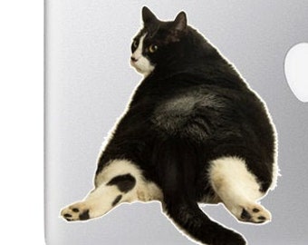 Chunky Cat black and white cat butt - Vibrant High Resolution Full Color Vinyl Decal Sticker