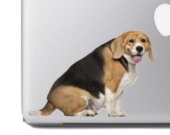 Chunky Beagle Sitting- Vibrant Vinyl Decal Sticker