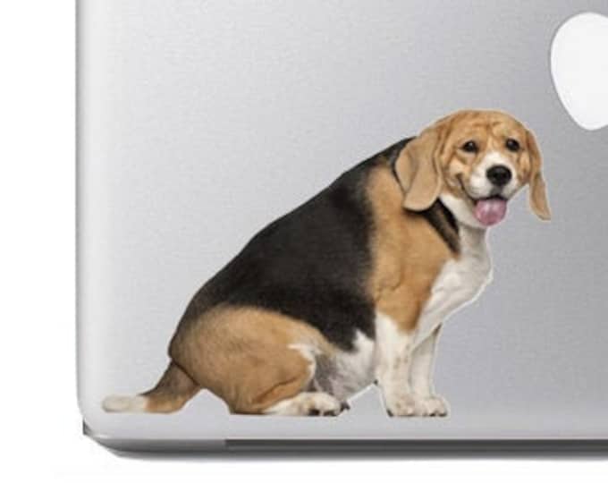 Chunky Beagle Sitting- Vibrant Vinyl Decal Sticker