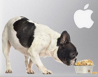 Black and White French Bulldog sniffing a bowl of dog food Time to Eat - Vibrant High Resolution Full Color Vinyl Laptop Tablet Decal