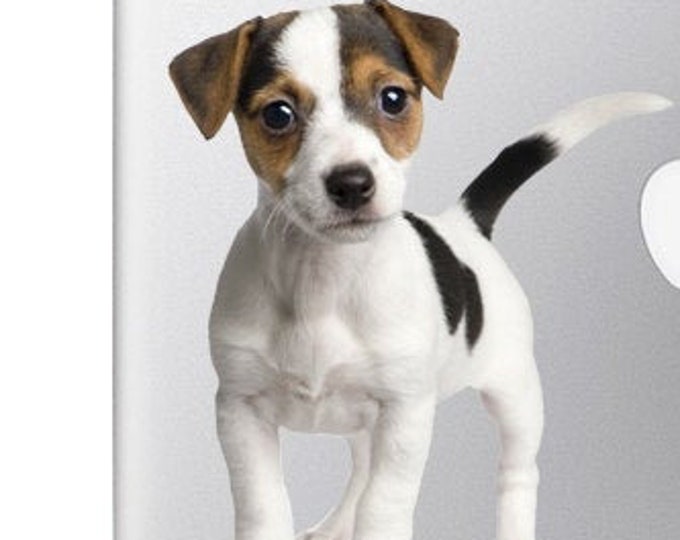 Jack Russell puppy - Vibrant High Resolution Full Color Vinyl Decal Sticker