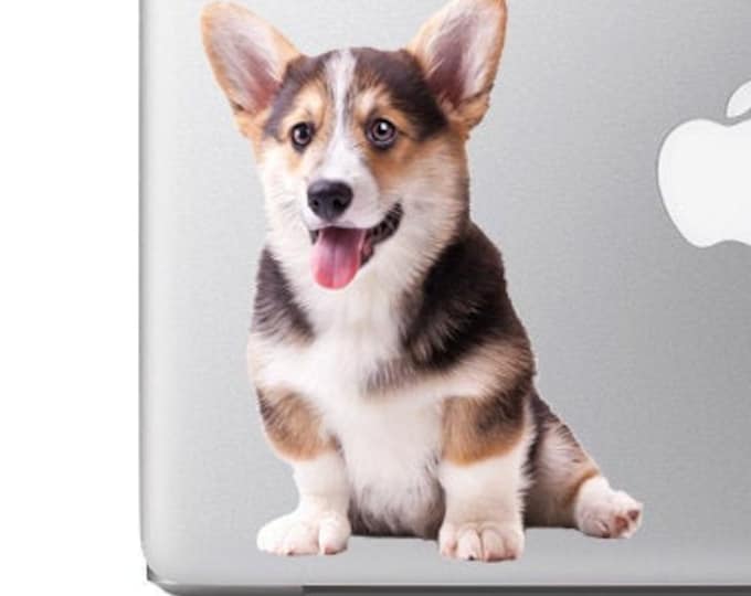 Welsh Corgi Pembroke Cute and Fluffy Puppy - Vibrant High Resolution Full Color Vinyl Decal Sticker