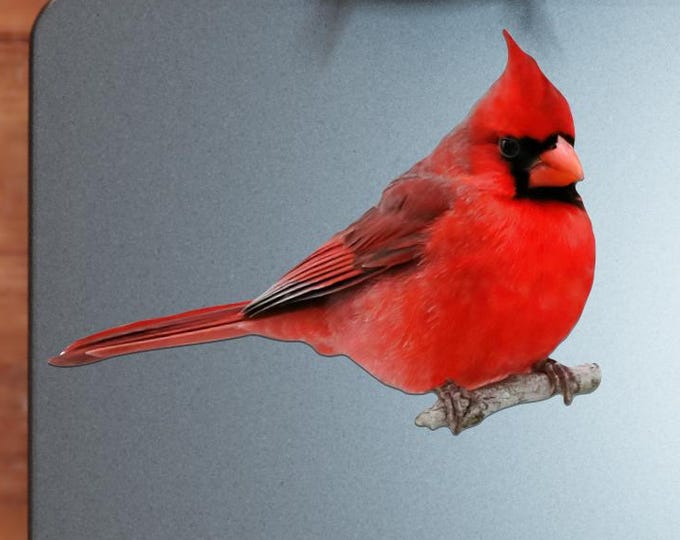 Cardinal Perched on Branch Sticker - Vibrant Color Vinyl Stickers for Laptops, Water Bottles, and Journals