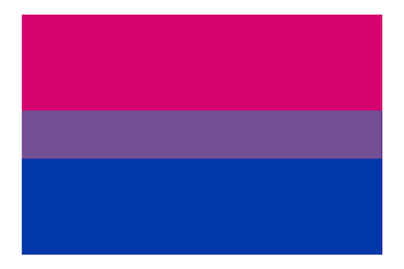 Bi Bisexual Flag LGBT Rights Support Pride Symbol Vibrant Color Vinyl Decal  - Etsy Ireland
