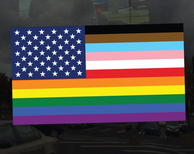 United States of America 11 Stripe POC Trans Inclusive Pride Flag - Vibrant Color Vinyl Decal Sticker