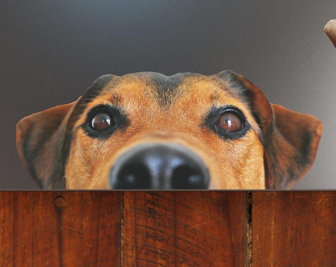 Peeking Puppy Dog Sticker - Vibrant Color Vinyl Stickers for Laptops, Water Bottles, and Journals