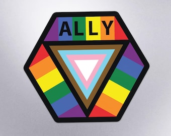 Ally Hexagon v2 Safe Space Progress Pride Flag LGBTQ POC Transgender Flag - Vibrant Color Vinyl Decal Sticker