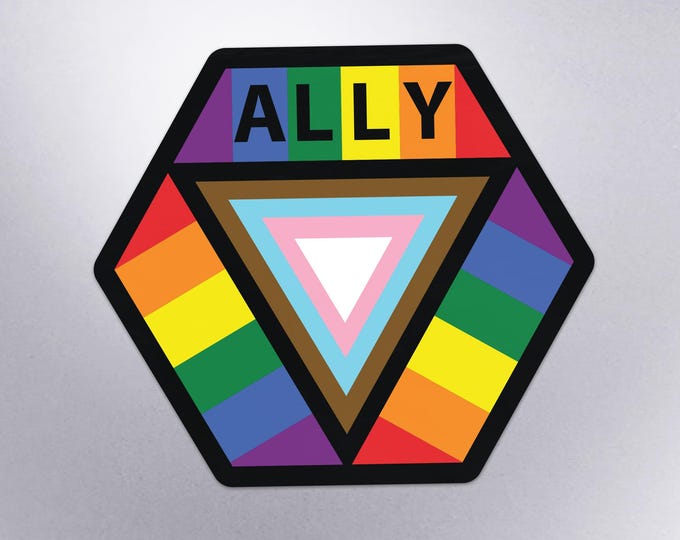 Ally Hexagon v2 Safe Space Progress Pride Flag LGBTQ POC Transgender Flag - Vibrant Color Vinyl Decal Sticker