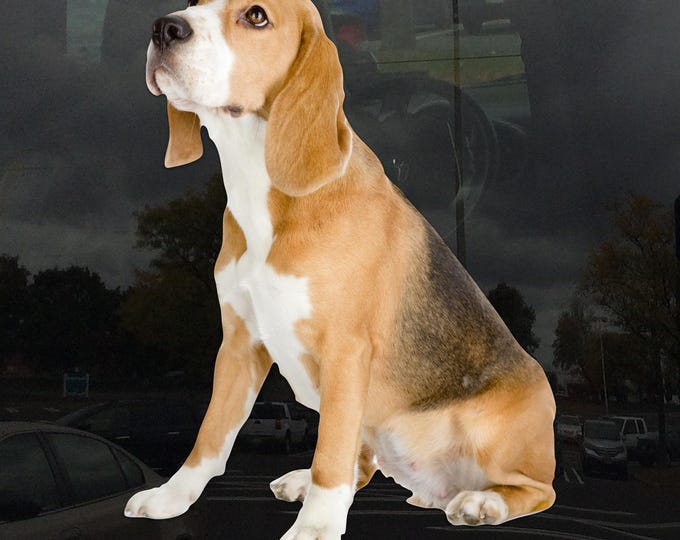 Beagle Puppy Dog Window Cling - Vibrant Static Cling for Glass Indoor and Outdoor!