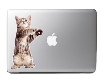 Cute Fluffy Animals #23 - funny standing playful kitten - Vibrant High Resolution Full Color Vinyl Laptop Tablet Decal