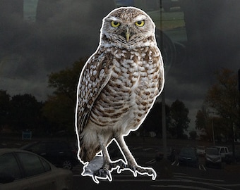 Photo Realistic Cute Owl Window Cling - Vibrant Static Cling Window Cling Indoor and Outdoor!