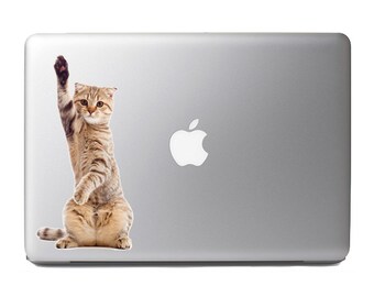 Cute Fluffy Animals #22 - funny kitten pointing up by one paw - Vibrant High Resolution Full Color Vinyl Laptop Tablet Decal