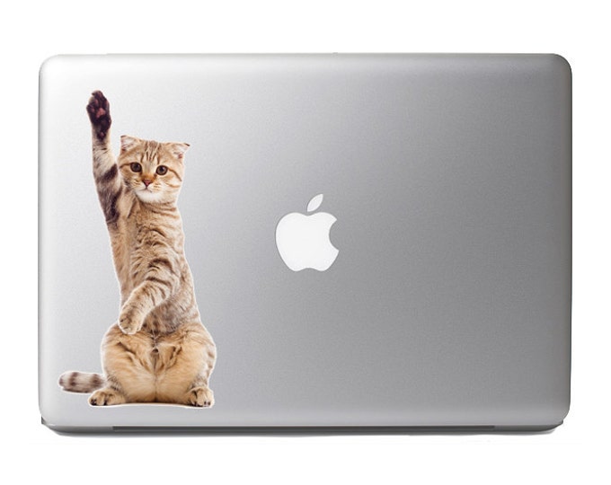Cute Fluffy Animals #22 - funny kitten pointing up by one paw - Vibrant High Resolution Full Color Vinyl Laptop Tablet Decal