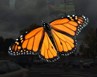 Monarch Butterfly Window Cling - Vibrant Static Cling Window Cling Indoor and Outdoor!