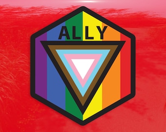 Ally Hexagon Safe Space Progress Pride Flag LGBTQ POC Transgender Flag - Vibrant Color Vinyl Decal Sticker