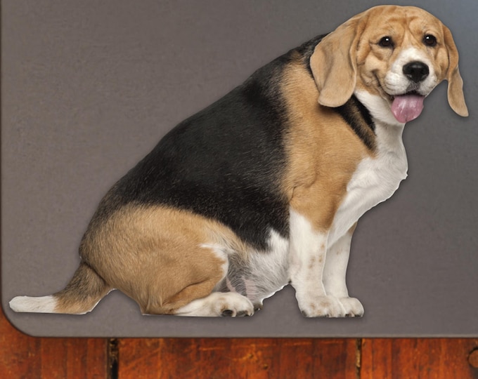 Chunky Beagle Sticker - Vibrant Color Vinyl Decal for Laptops, Water Bottles, and Journals