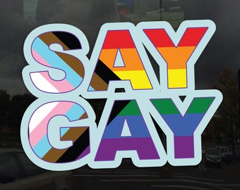 Say Gay Progress Pride Flag LGBTQ POC Transgender Flag - Vibrant Color Vinyl Decal Sticker