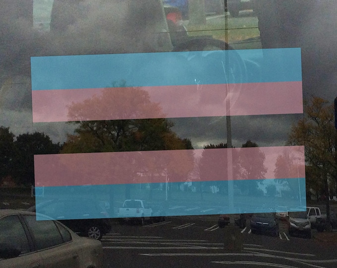 Transgender Pride Flag LGBTQ Flag - Semi-Transparent Window Cling (for Inside Windows)