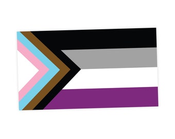 Asexual Progress Pride Flag LGBTQ POC Transgender Flag - Vibrant Color Vinyl Decal Sticker