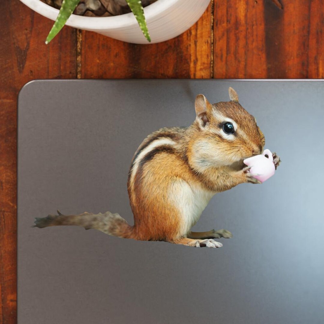 Chipmunk Sticker Chipmunk Sticker - Vibrant Color Vinyl Stickers for Laptops, Water ...
