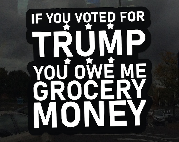 If you Voted for Trump you owe me Grocery Money Window Cling - Funny Political Humor Static Cling for Glass Windows
