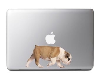 Cute Fluffy Animals #17- English Bulldog puppy - Vibrant High Resolution Full Color Vinyl Laptop Tablet Decal