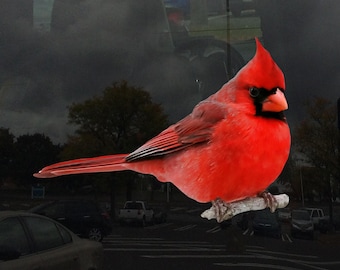 Cardinal Perched on Branch Cling - Vibrant Static Cling Window Cling Indoor and Outdoor!