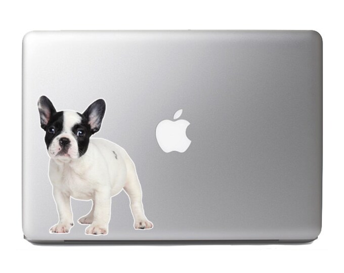 Cute Fluffy Animals #7 - Cute French bulldog puppy - Vibrant High Resolution Full Color Vinyl Laptop Tablet Decal