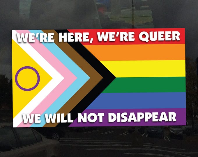 We're Here We're Queer We Will Not Disappear Progress Pride Flag – Static Cling Window Cling – Indoor and Outdoor, Vibrant Color