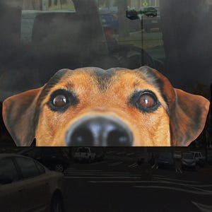 Peeking Puppy Dog Window Cling - Vibrant Static Cling Window Cling Indoor and Outdoor!