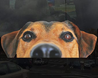 Peeking Puppy Dog Window Cling - Vibrant Static Cling Window Cling Indoor and Outdoor!