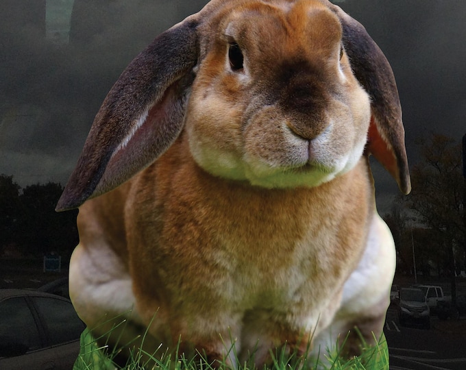 Rabbit Playing In Grass Window Cling - Vibrant Static Cling Indoor and Outdoor!