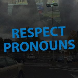 Respect Pronouns Trans NonBinary Gender Awareness - Vinyl Decal for Mirrors Glass Metal and more