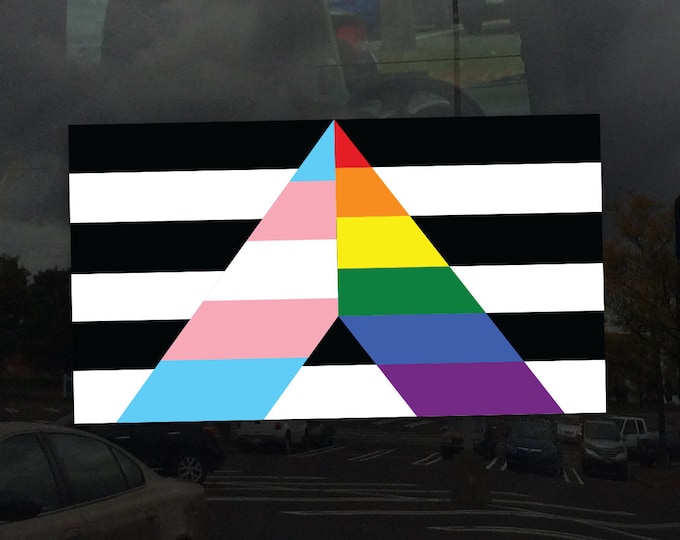 Rainbow Transgender Support Ally Pride Flag - Vibrant Static Cling Window Cling Indoor and Outdoor!