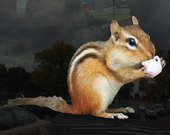 Cute Chipmunk Window Cling - Vibrant Static Cling Indoor and Outdoor!