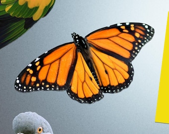 Monarch Butterfly Sticker - Vibrant Color Vinyl Stickers for Laptops, Water Bottles, and Journals