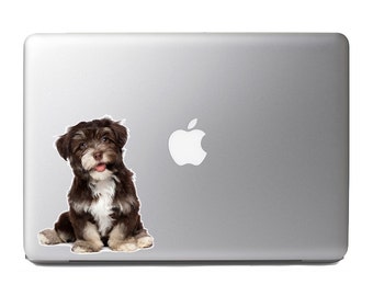 Cute Fluffy Animals #2 - A beautiful smiling dark chocolate havanese puppy - Vibrant High Resolution Full Color Vinyl Laptop Tablet Decal