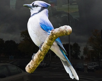 Blue Jay on Branch Window Cling - Vibrant Static Cling Indoor and Outdoor!