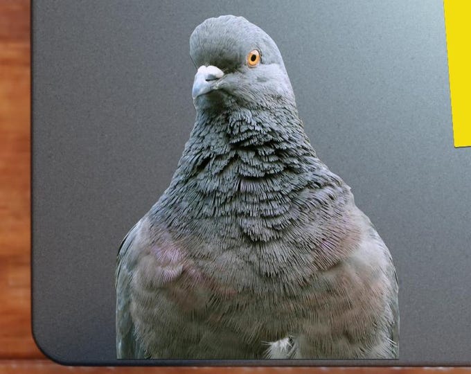 Pidgeon Sticker - Vibrant Color Vinyl Stickers for Laptops, Water Bottles, and Journals