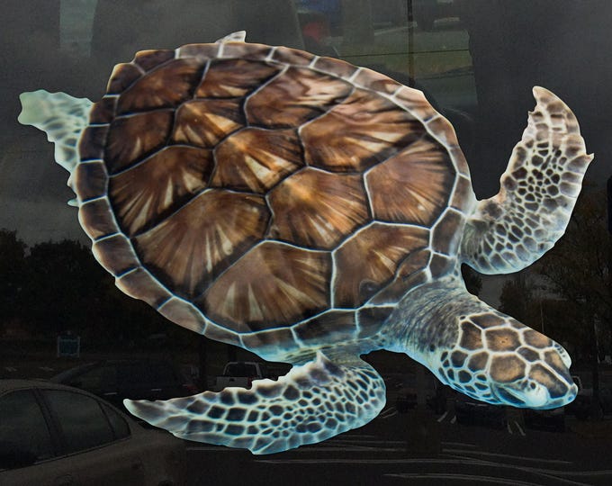 Photo Realistic Swimming Sea Turtle Window Cling - Vibrant Static Cling Indoor and Outdoor!
