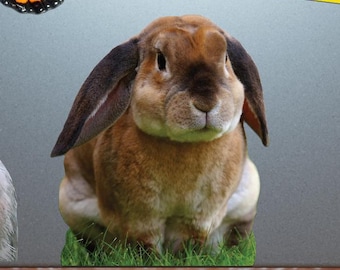 Rabbit Playing In Grass Sticker - Vibrant Color Vinyl Stickers for Laptops, Water Bottles, and Journals