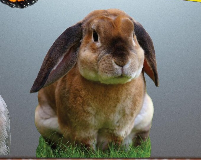 Rabbit Playing In Grass Sticker - Vibrant Color Vinyl Stickers for Laptops, Water Bottles, and Journals