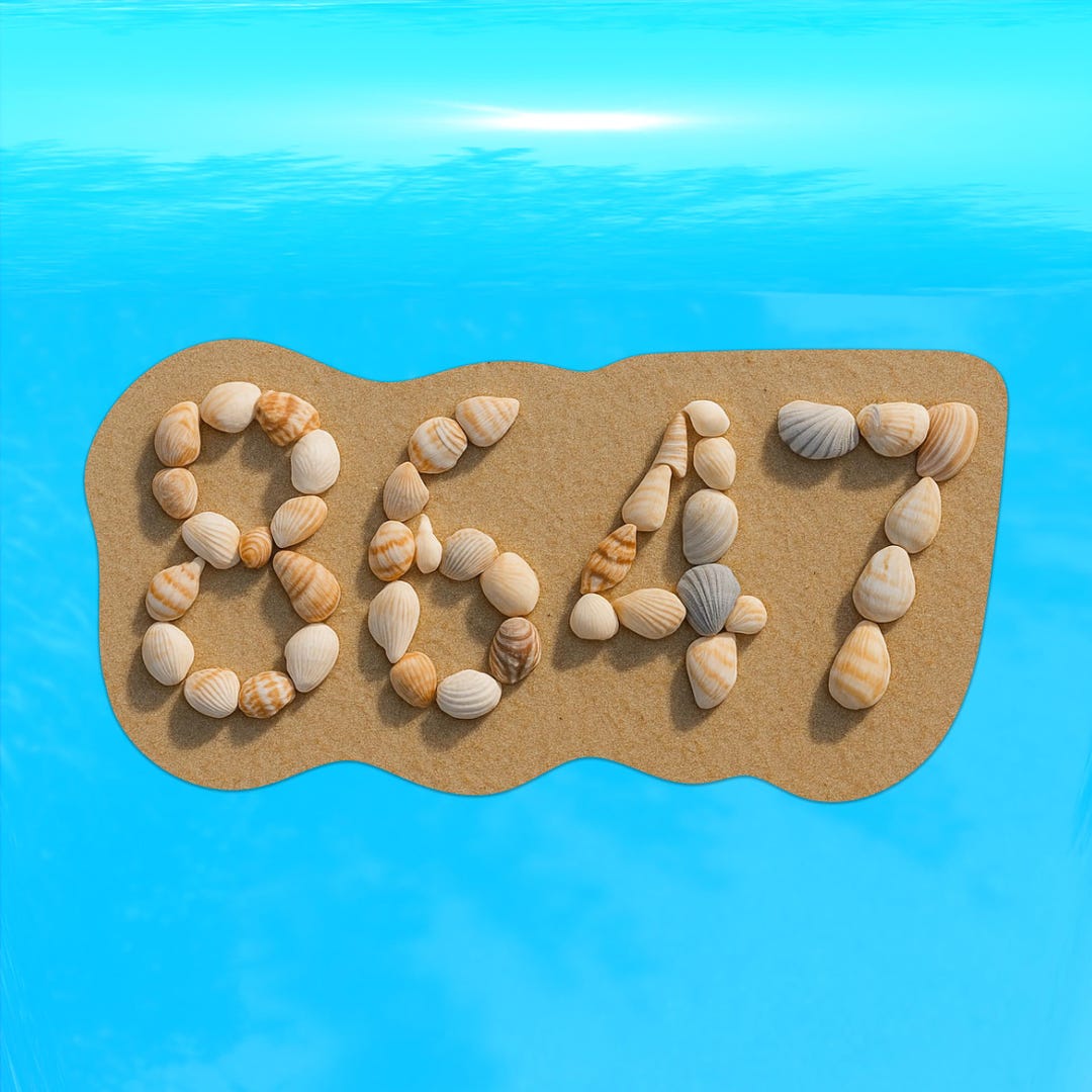 8647 Seashells on a Beach FDT Decal - Vinyl Sticker for Cars, Laptops ...