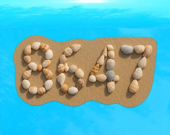 8647 Seashells on a Beach FDT Decal - Vinyl Sticker for Cars, Laptops, Windows and Water Bottles