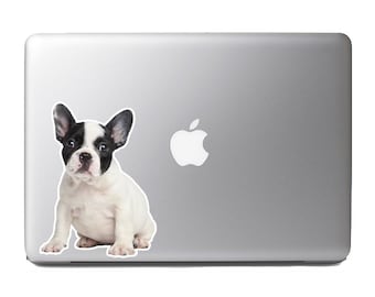 Cute Fluffy Animals #9 - French bulldog puppy portrait - Vibrant High Resolution Full Color Vinyl Laptop Tablet Decal