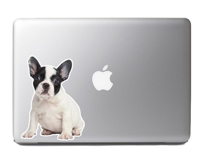 Cute Fluffy Animals #9 - French bulldog puppy portrait - Vibrant High Resolution Full Color Vinyl Laptop Tablet Decal