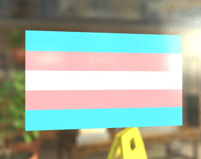 Transgender Pride Flag LGBTQ Flag - Vibrant Color Static Cling Window Cling - Use Indoor and Outdoor!
