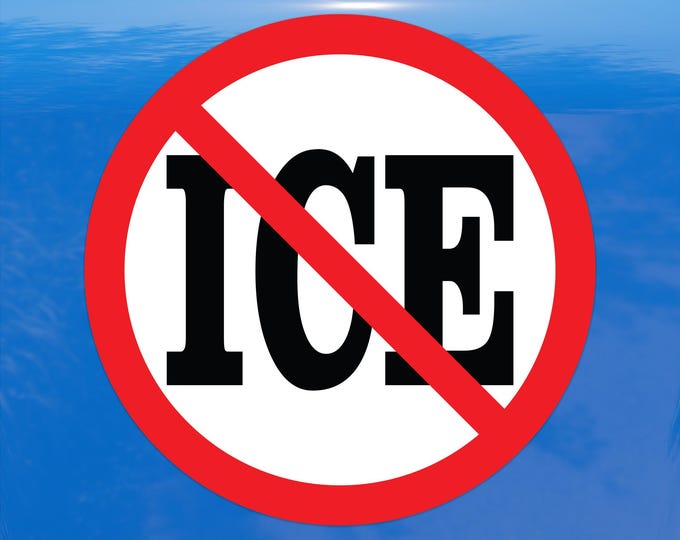 No ICE Protest Decal – Vibrant Color Vinyl Sticker for Cars, Laptops, and Windows