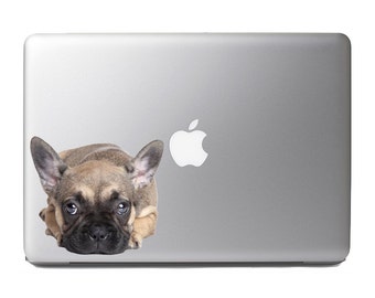 Cute Fluffy Animals #29 Sad French bulldog puppy - Vibrant Hgh Resolution Full Color Vinyl Laptop Tablet Decal