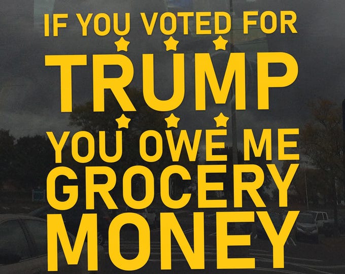 If you Voted for Trump you owe me Grocery Money Sticker - Funny Political Humor Die-Cut Vinyl Decal for Cars, Laptops, and Windows